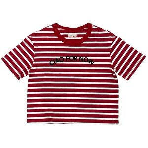 Madewell Red and White Ciao For Now Striped Crop Top